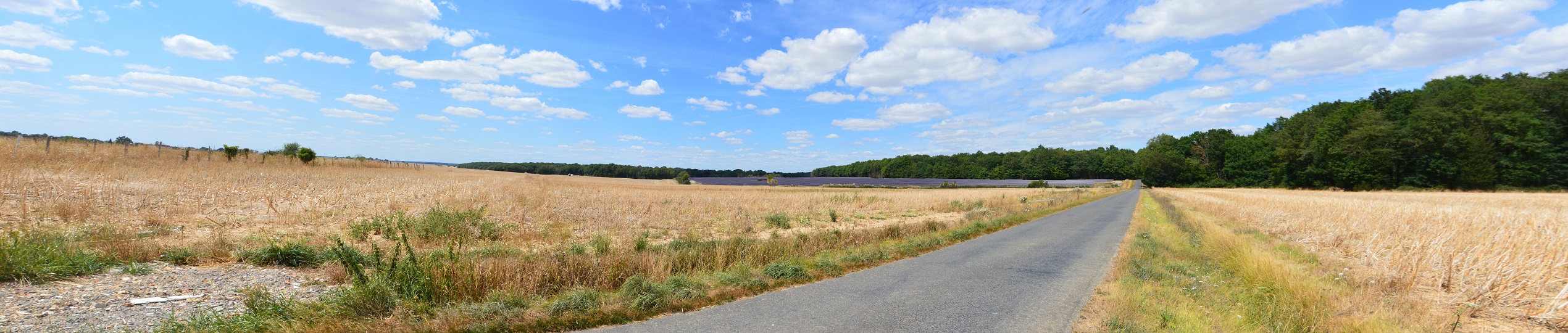 Photomontage_chemin_de_la_forêt_AER_MAJ_2023_11