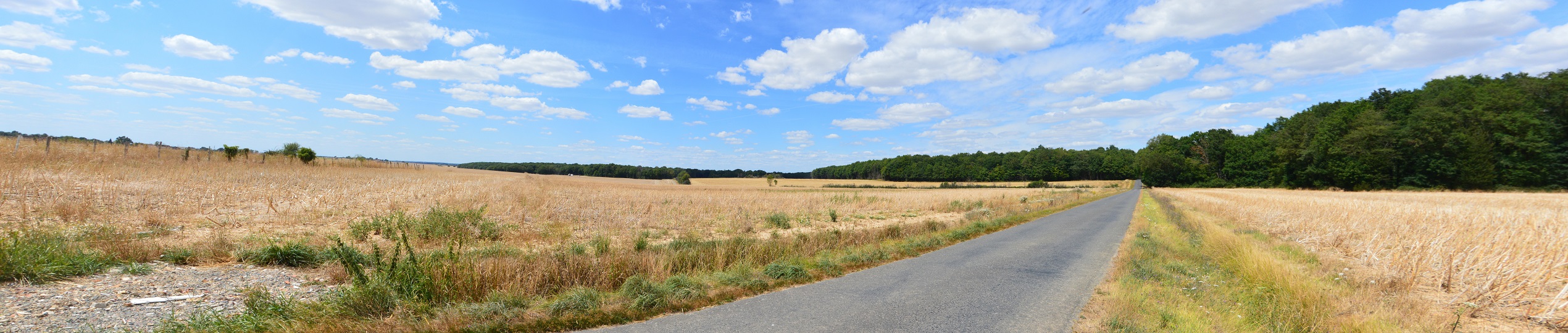 Vue_initiale_chemin_de_la_forêt_AER