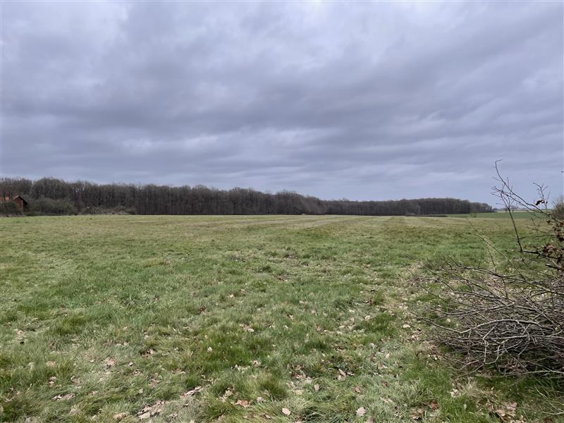 Parc solaire des Hermites​