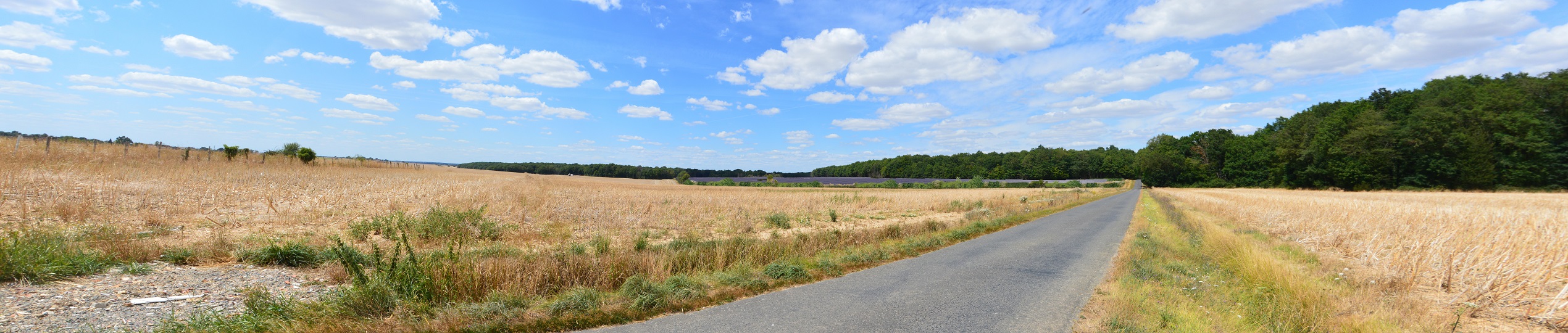 Photomontage_chemin_de_la_forêt_AER_mesure_haie_MAJ_2023_11